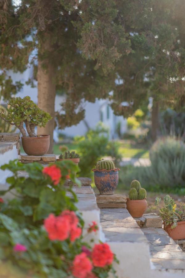 Antonina Hotel Agia Anna  외부 사진
