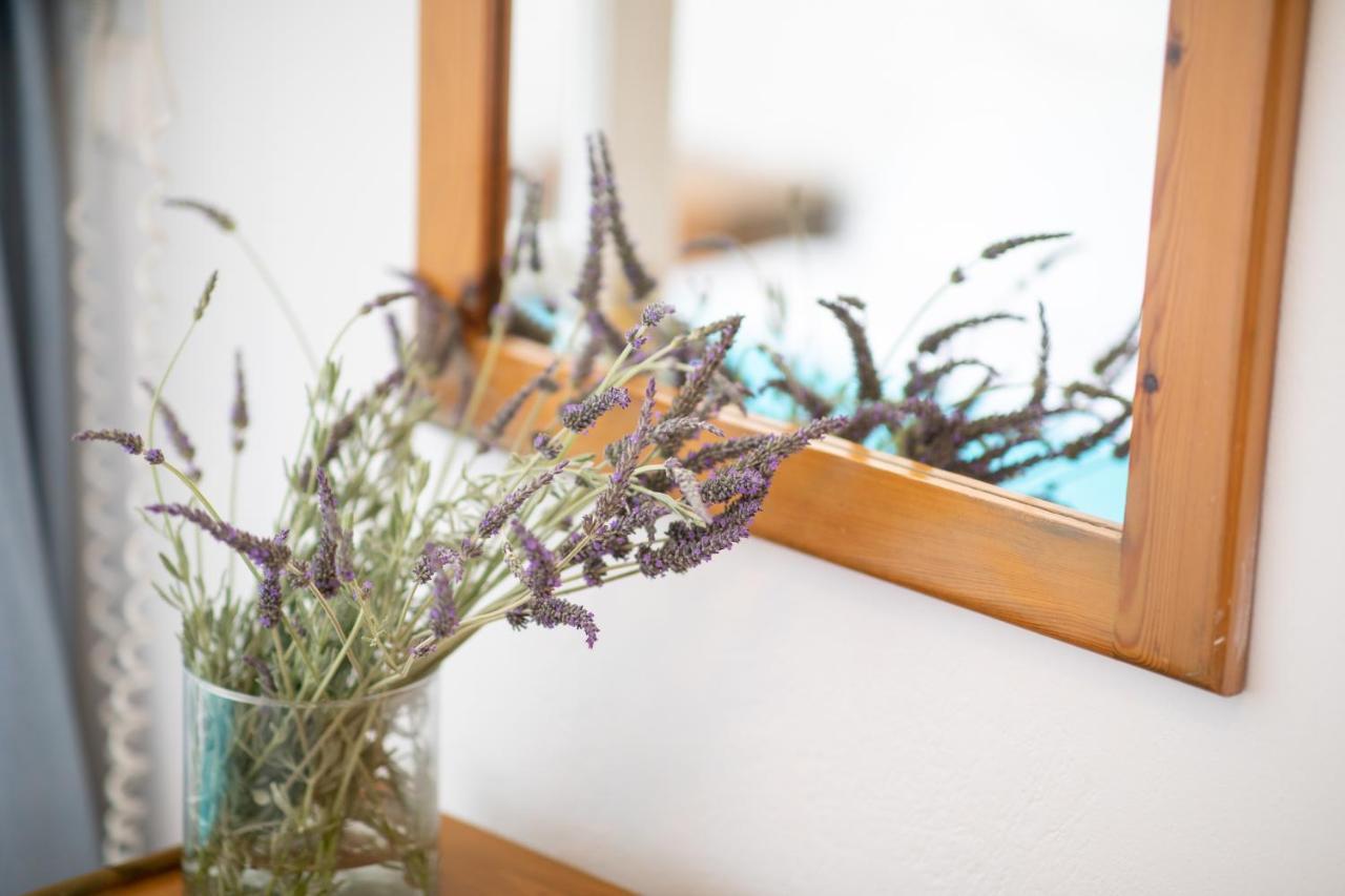 Antonina Hotel Agia Anna  외부 사진
